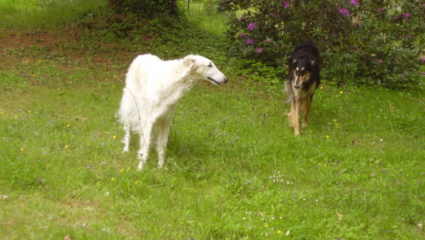 Aufregendes Wochenende...